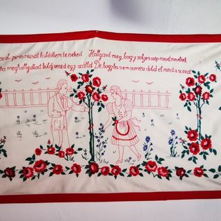 Casa de oaspeți Csür Șiclod (3)