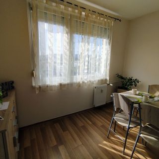 Budapest View Apartment Budapest (5)