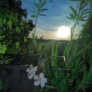 Lovasbarát Fogadó Győrújbarát (3)