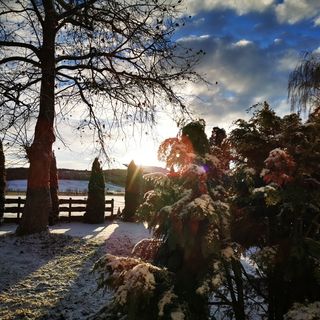 Lovasbarát Fogadó Győrújbarát (4)