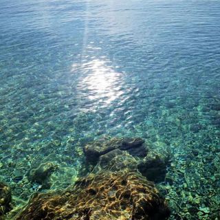 Apartmani Ana Dubrovnik (5)