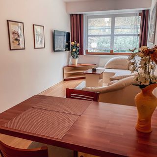 Apartmány Gizela Luhačovice (4)