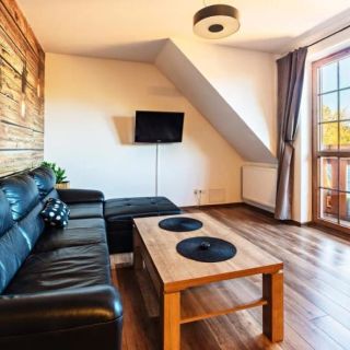 Apartamenty Sun & Snow Leśny Dom Karpacz (5)