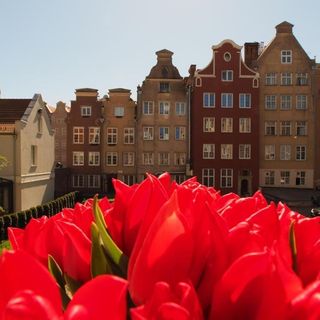 Grand Tourist Gemini II Gdańsk (4)