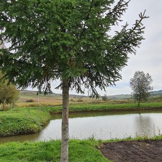 Casa Valea Lupului Ocnița (5)