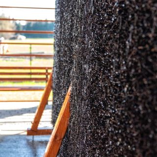 Ośrodek Wypoczynkowy Przy Termach Szaflarach (2)