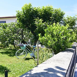 Apartmani Nives Punta Umag (3)