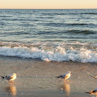 Apartman Jarosławiec - PPL123 (5)