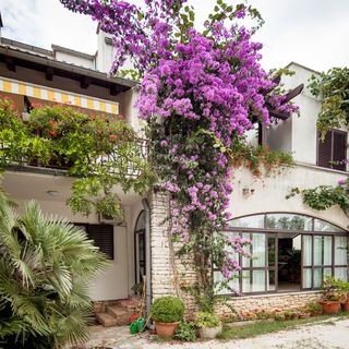 Apartments Natasa Rovinj (4)