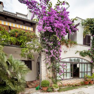 Apartments Nadia Rovinj (4)