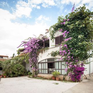 Apartments Nadia Rovinj (5)