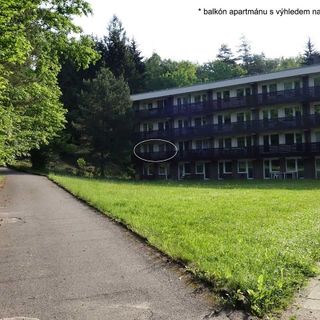 Apartmán u lesa Všemina (2)