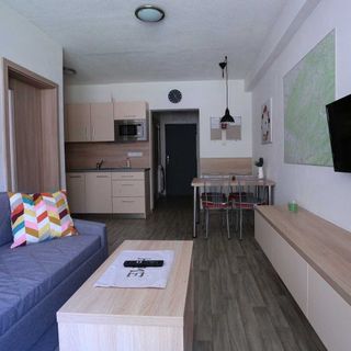 Apartmán u lesa Všemina (3)