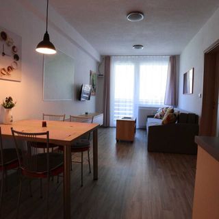Apartmán u lesa Všemina (5)