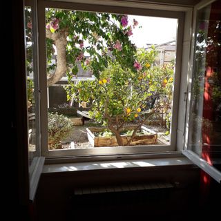 Apartment LEMONA Makarska (3)