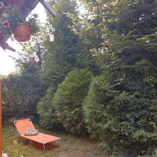 Domek całoroczny ELDORADO Stróża (4)