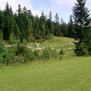 Domek pod Majową Górą Kacwin (2)