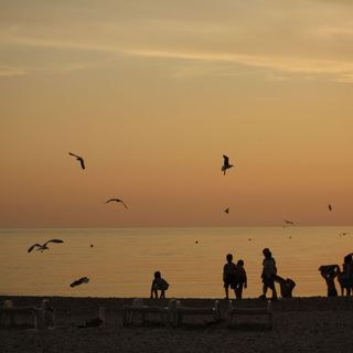 Apartments Verdina Primosten (5)