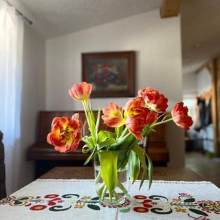 Agroturystyka Zacisze Karłów (4)