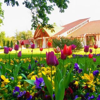 Gárdonyi Apartman Berekfürdő (3)