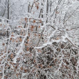 Áfonyácska Vendégház Galyatető (3)