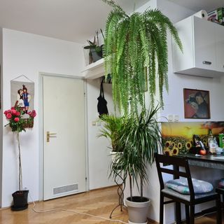 Uroczy apartament z tarasem Kraków (4)
