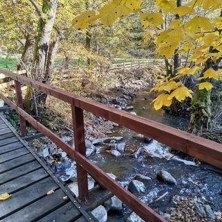 Casa de vacanță Fontana Erdélyi 2 Satu Mare (5)