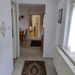 Drávamenti Vándormadár Szállás és Pihenőhely Drávagárdony (4)