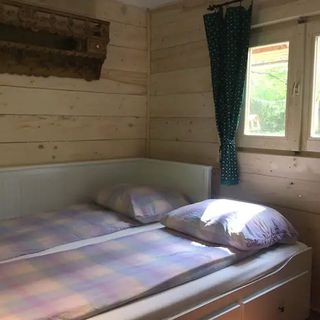 Cinke házikó - fészek a természetben Kismaros (3)