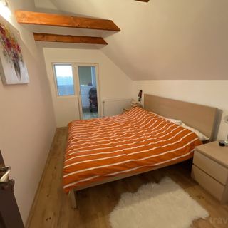 Cabana primitoare cu semineu Bălcești (4)