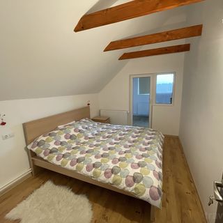 Cabana primitoare cu semineu Bălcești (5)