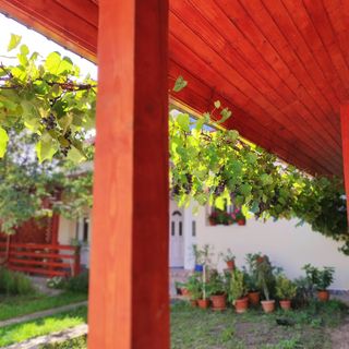 Casa Piatra Craivii Craiva (3)