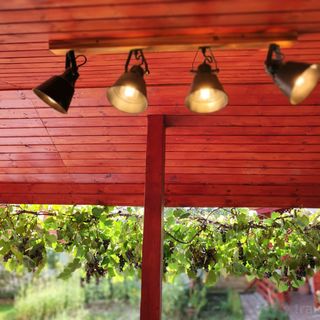 Casa Piatra Craivii Craiva (4)