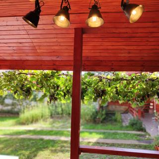 Casa Piatra Craivii Craiva (5)