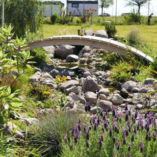 Wichrowe Wzgórze Mielenko (4)