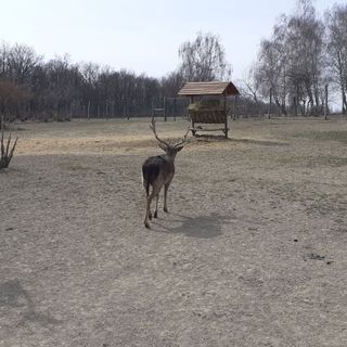 Bíbic Apartman B Kápolnásnyék (2)