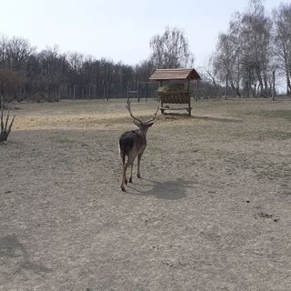 Bíbic Apartman B Kápolnásnyék (2)