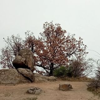 Bíbic Apartman B Kápolnásnyék (4)