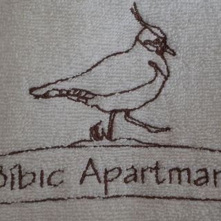 Bíbic Apartman B Kápolnásnyék (5)