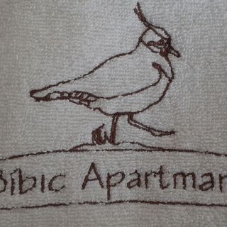 Bíbic Apartman B Kápolnásnyék (5)