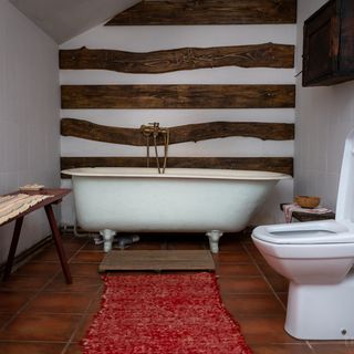 Casa Sub Magrin Sat Bătrân (4)