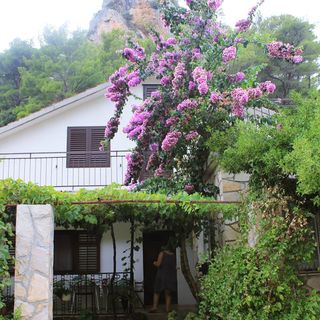 Apartmanok A Tenger Mellett Öböl Vela Stiniva, Hvar - 19951 Vela Stiniva (5)