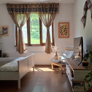 Casă de vacanță în Apuseni Șesuri (2)