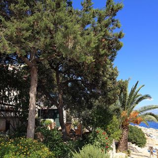 Apartment Martina Zastrazisce (3)