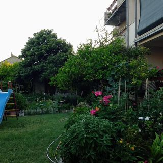 Apartment Tonia Kastel Novi (4)