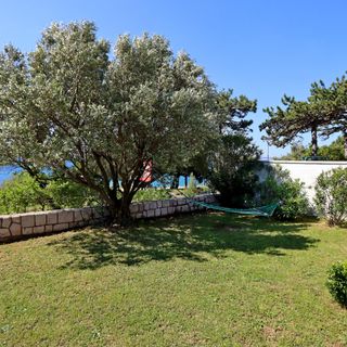 Apartmanok A Tenger Mellett Novi Vinodolski - 19981 (5)