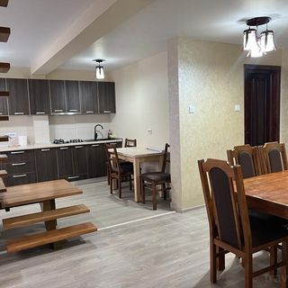 Vila Onyx Dens Țibănești (2)