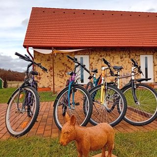 Fa Szamár Vendégház Demjén (3)