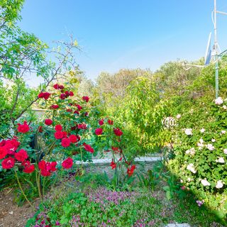 Apartment Nikola Barbat (2)