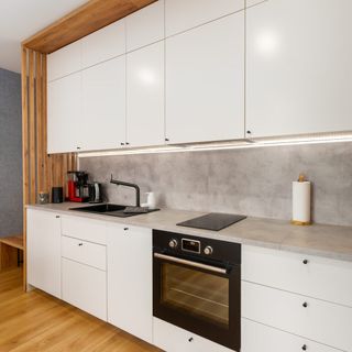 Apartament WILLOW TREE Dźwirzyno (2)